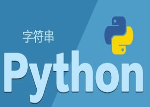 婁底Python入門基礎(chǔ)培訓(xùn)教程 - 動腦供信息技術(shù)咨詢服務(wù)